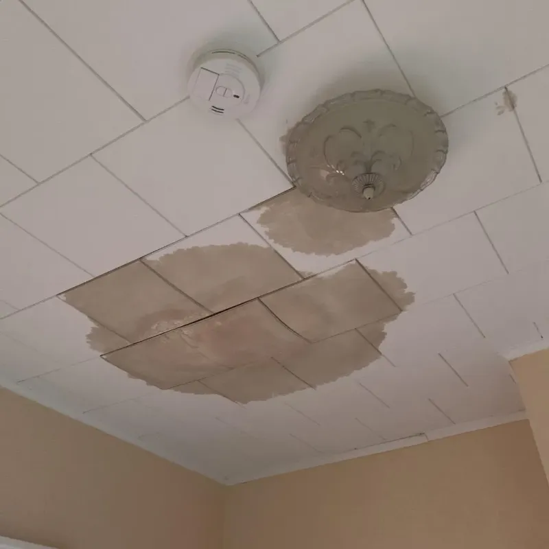 Ceiling Water Damage Repair in Chino, CA
