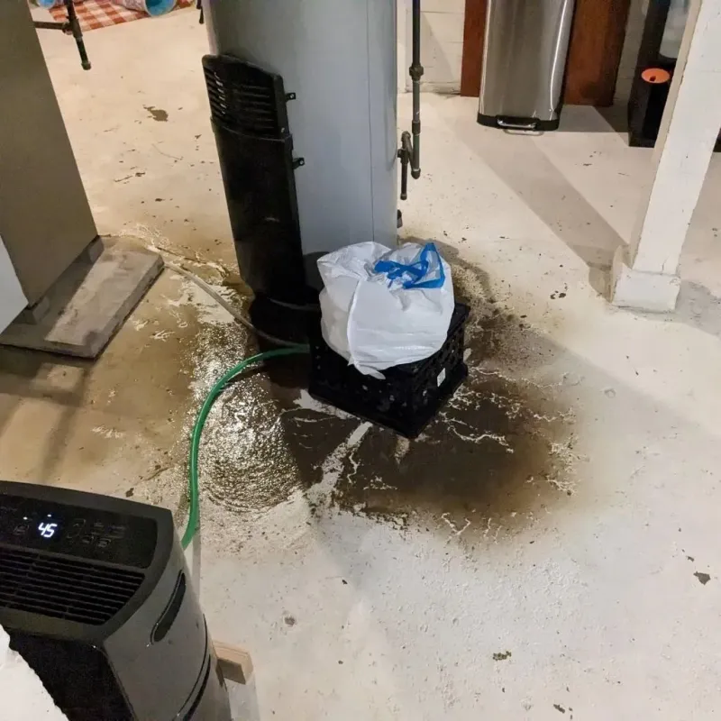 Sewage Backup Cleanup Service in Chino, CA